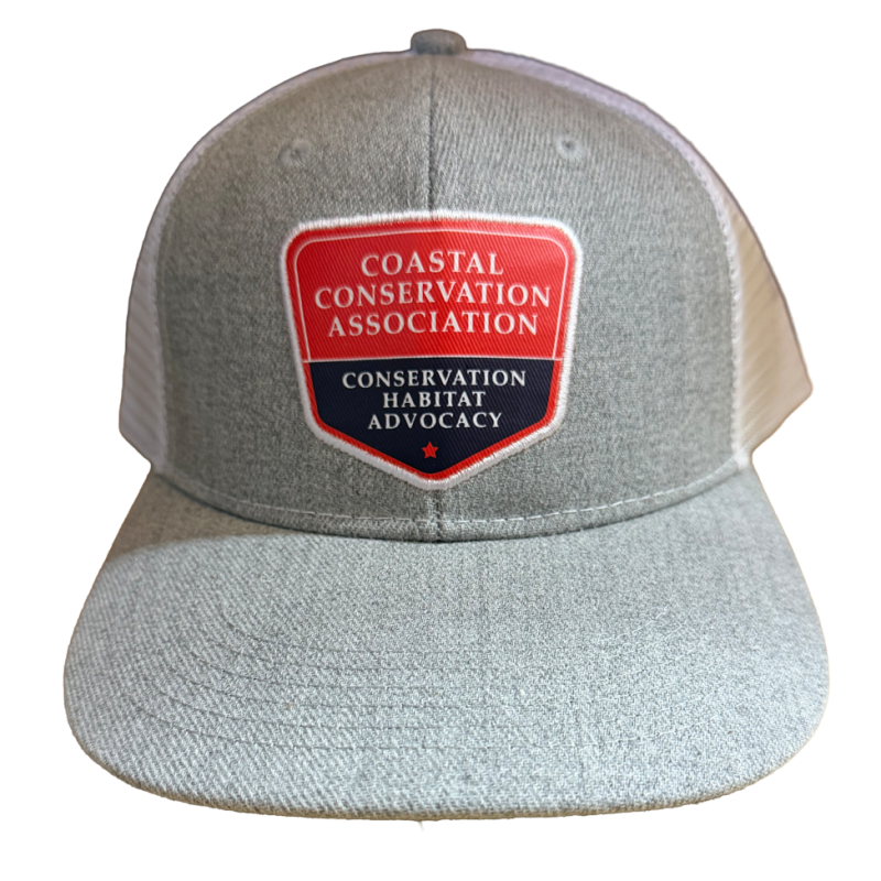 GRAY/White Baseball Hat