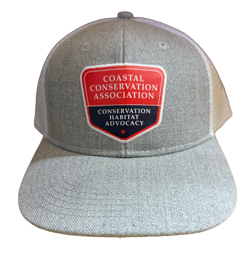 GRAY/White Baseball Hat