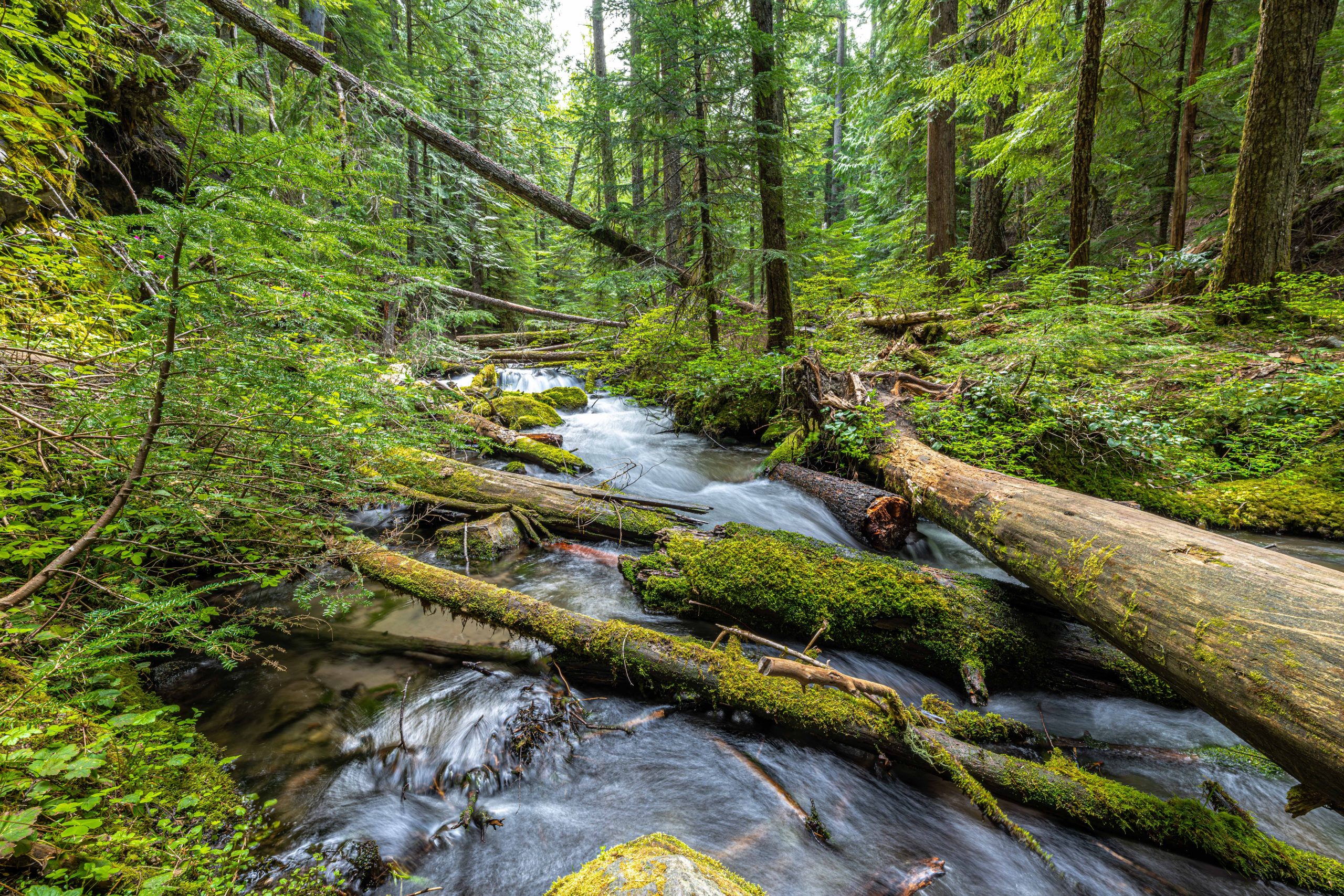 Habitat Project Donations